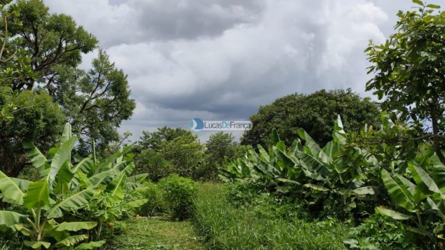 Chácara de 2 hectares (20.000m2) em Planaltina -DF (próximo a BR020)