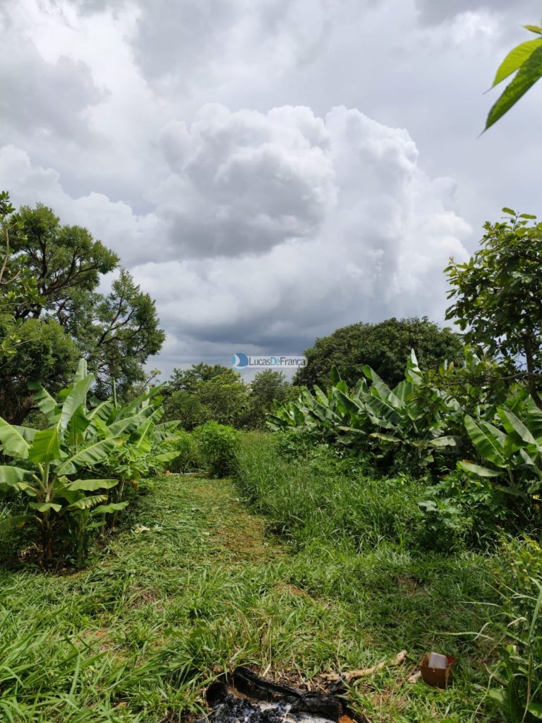 Chácara de 2 hectares em Planaltina DF (8)