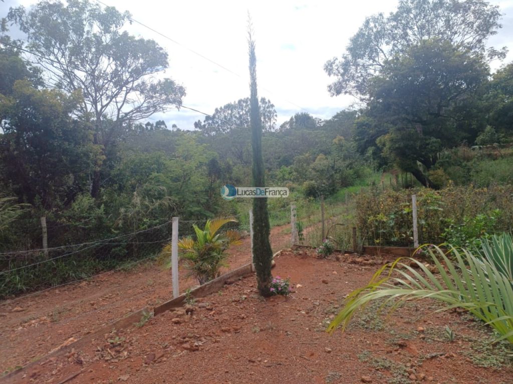 chácara dentro de Planaltina DF (11)