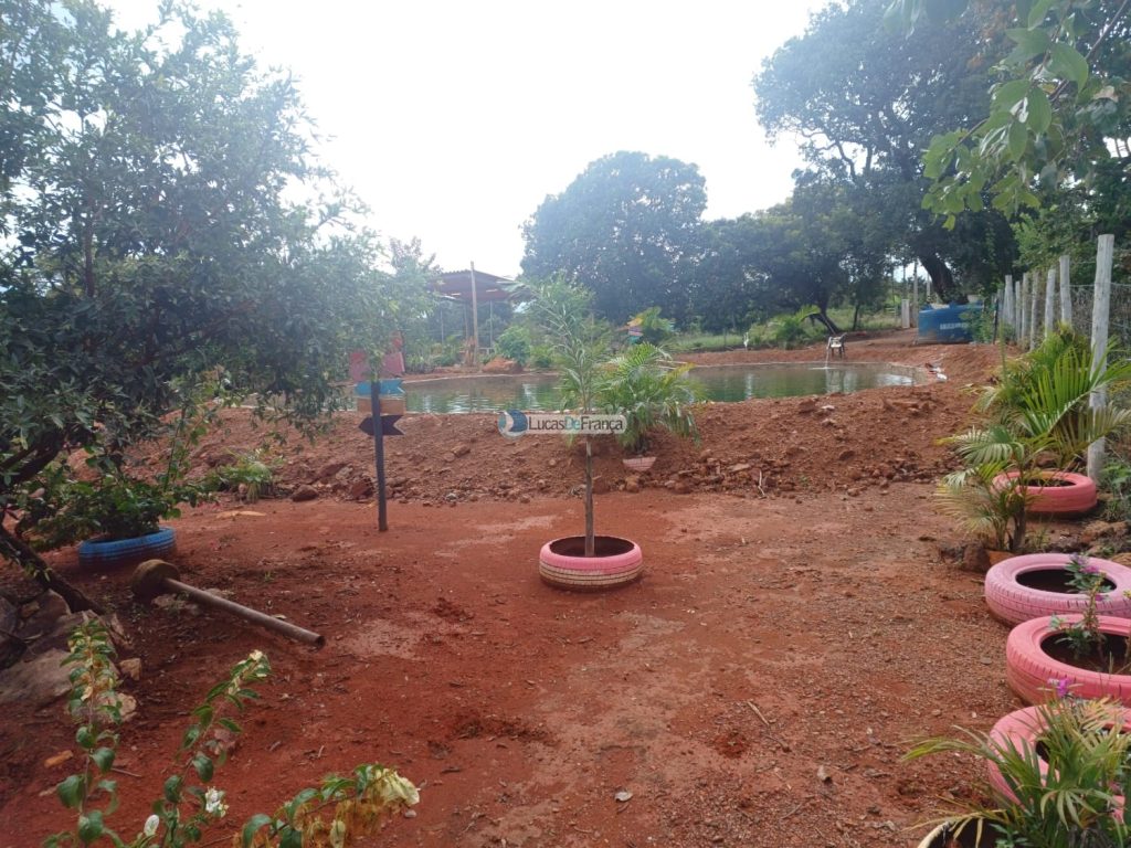 chácara dentro de Planaltina DF (13)