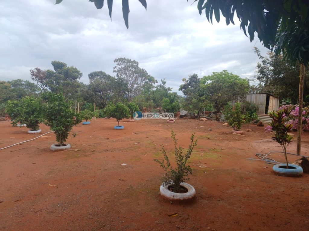 chácara dentro de Planaltina DF (14)