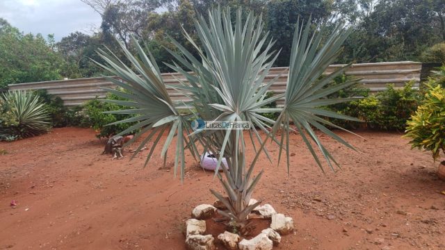 Chácara dentro de Planaltina DF