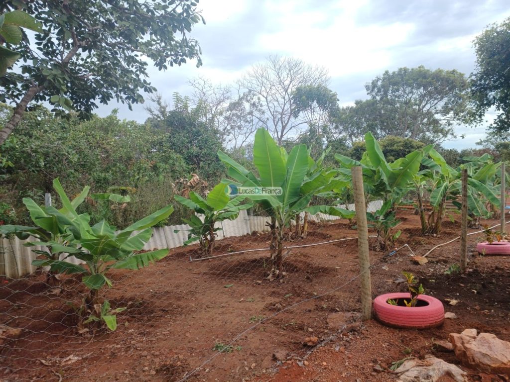chácara dentro de Planaltina DF (2)