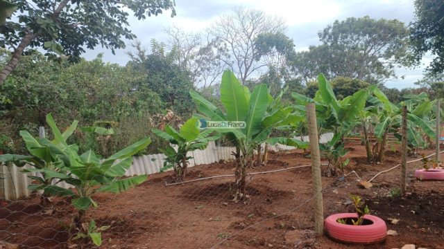 Chácara dentro de Planaltina DF