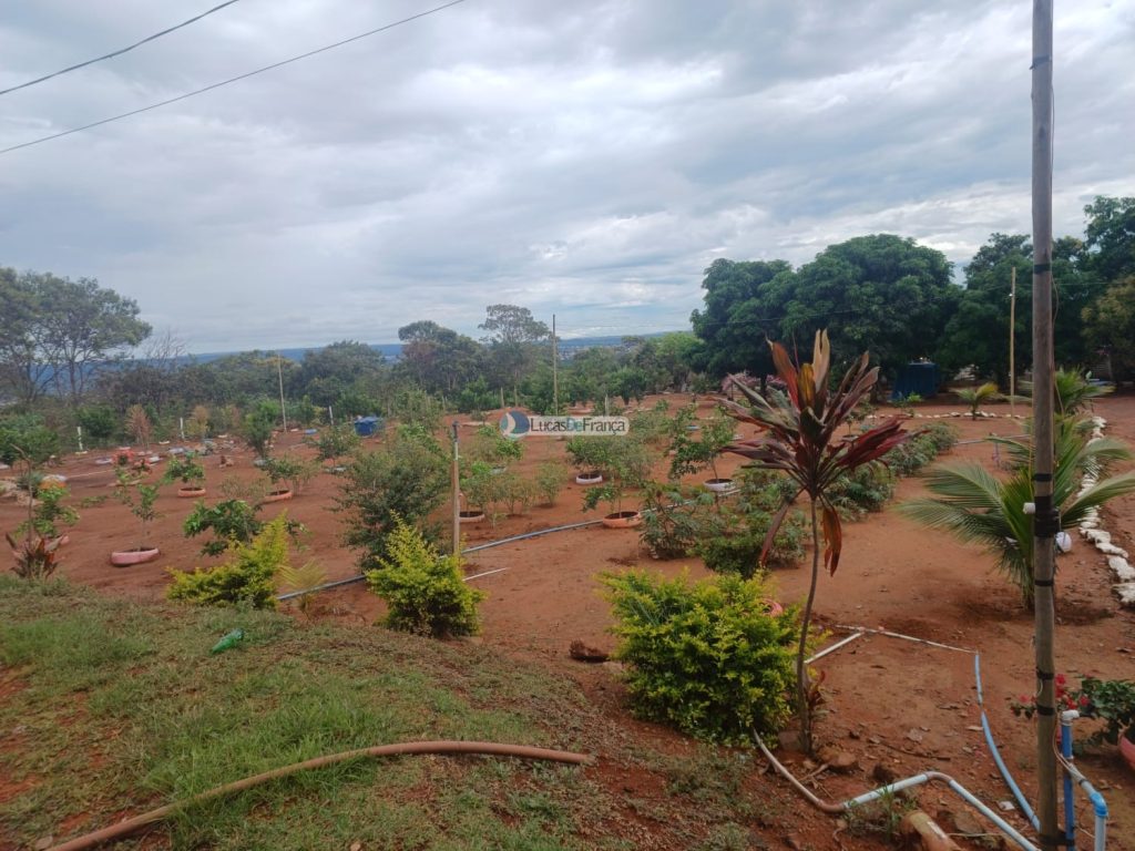 chácara dentro de Planaltina DF (6)