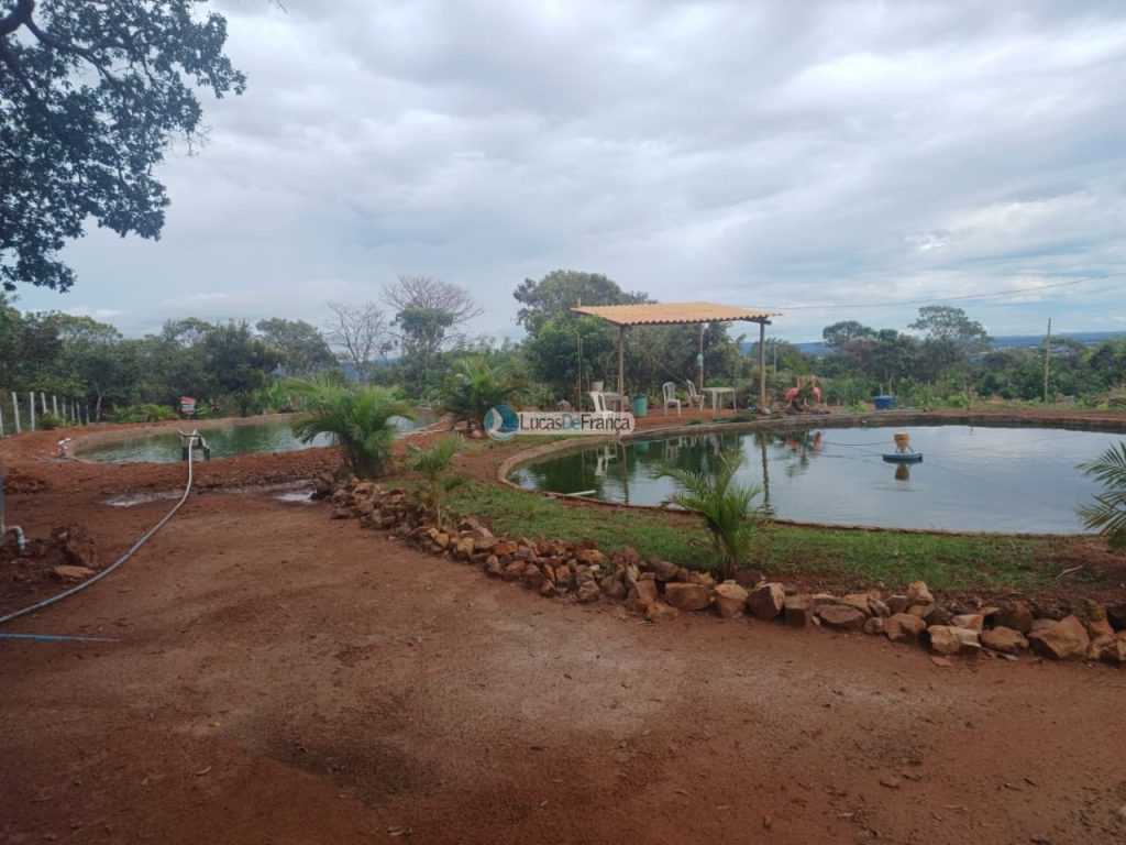 chácara dentro de Planaltina DF (9)