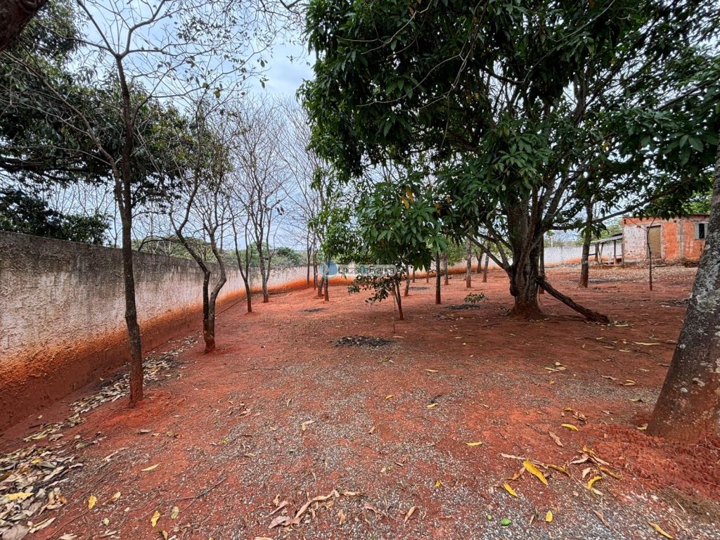 Chácara em Planaltina-GO (13)