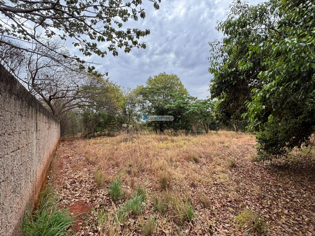 Chácara em Planaltina-GO (15)