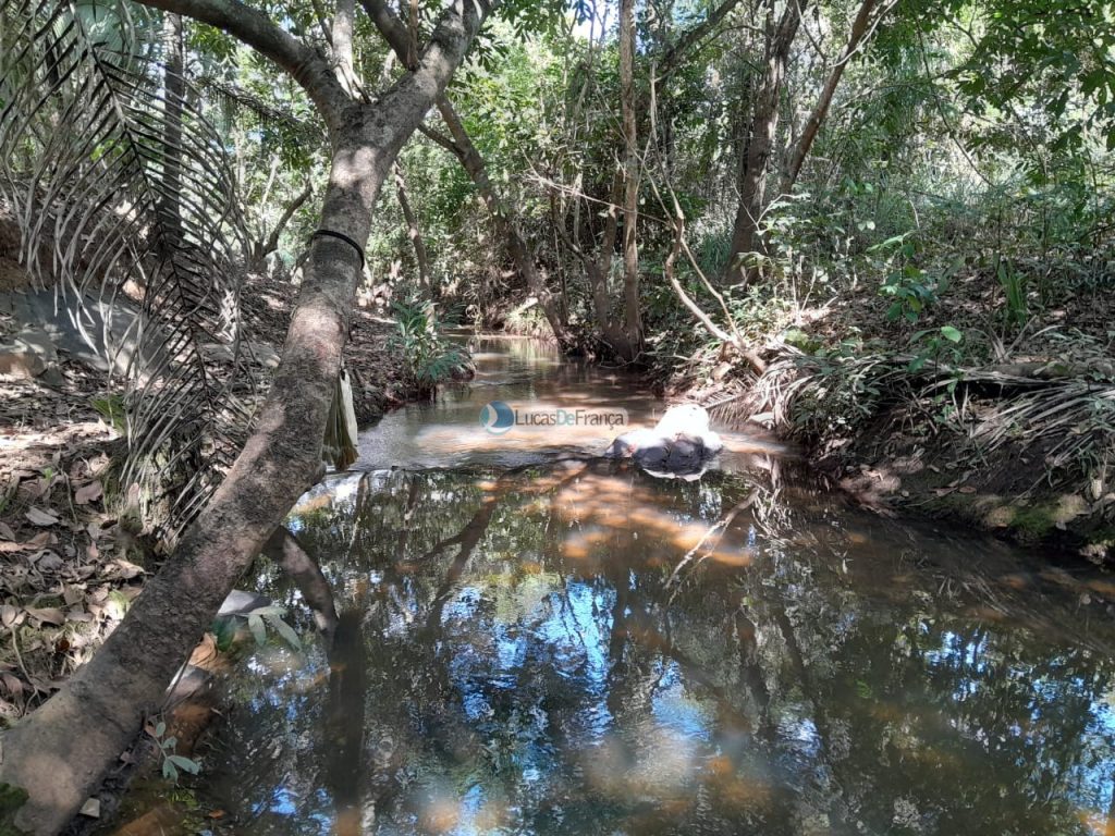 Chácara no distrito de Santa Rosa (10)
