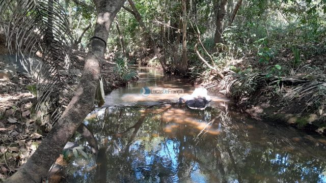 Chácara no distrito de Santa Rosa – 02 hectares