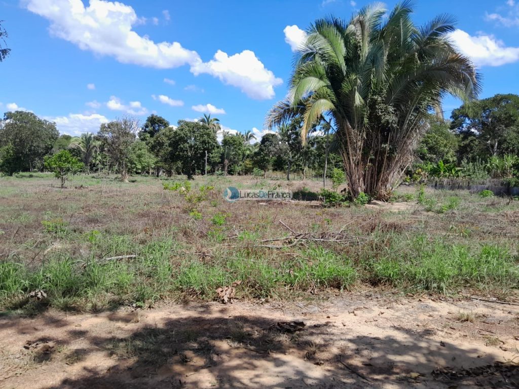 Chácara no distrito de Santa Rosa (11)