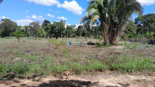 Chácara no distrito de Santa Rosa – 02 hectares
