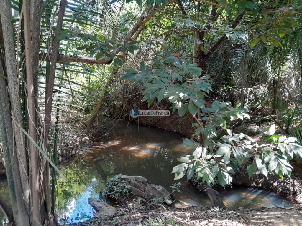 Chácara no distrito de Santa Rosa (12)