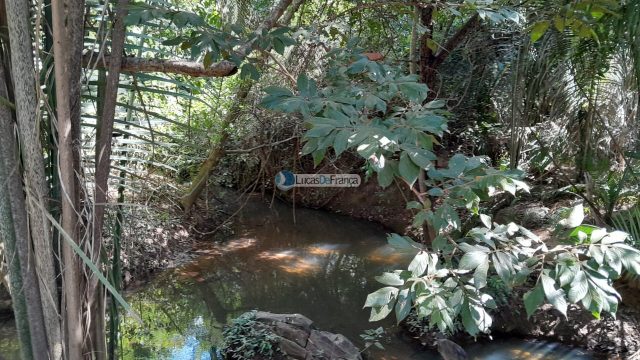 Chácara no distrito de Santa Rosa – 02 hectares