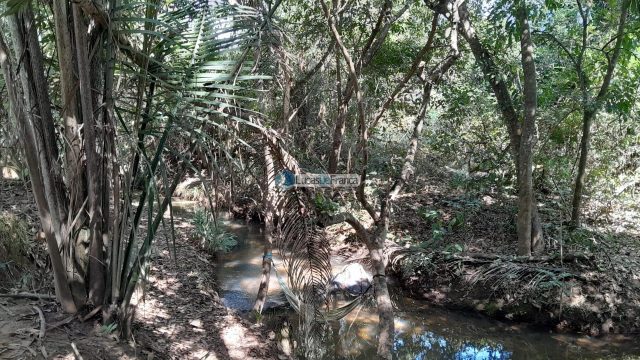 Chácara no distrito de Santa Rosa – 02 hectares