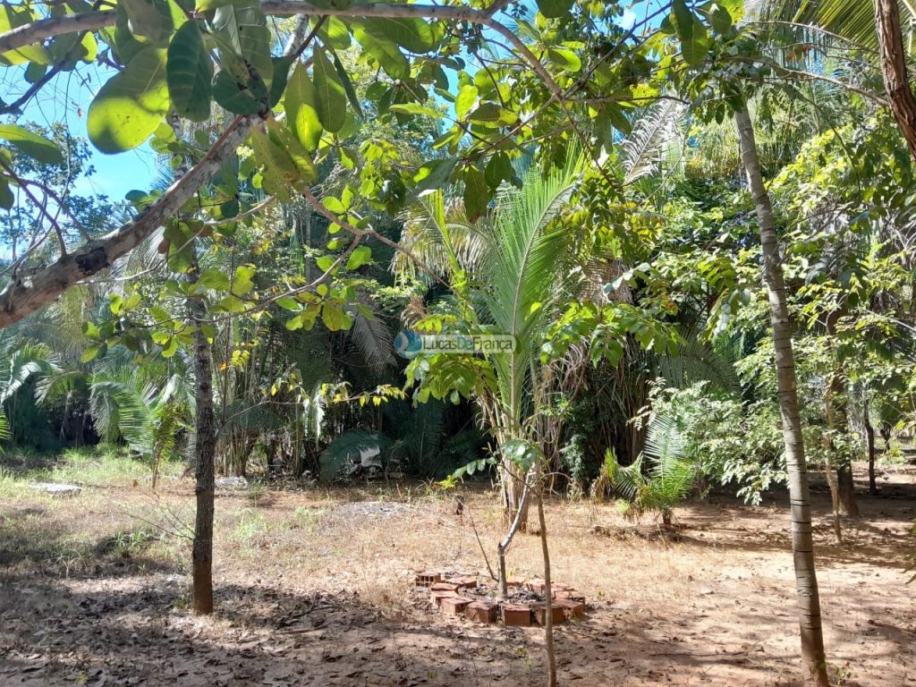 Chácara no distrito de Santa Rosa (14)