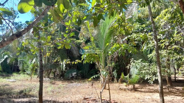 Chácara no distrito de Santa Rosa – 02 hectares