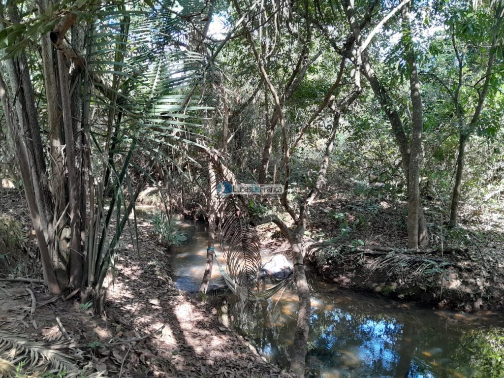 Chácara no distrito de Santa Rosa (15)