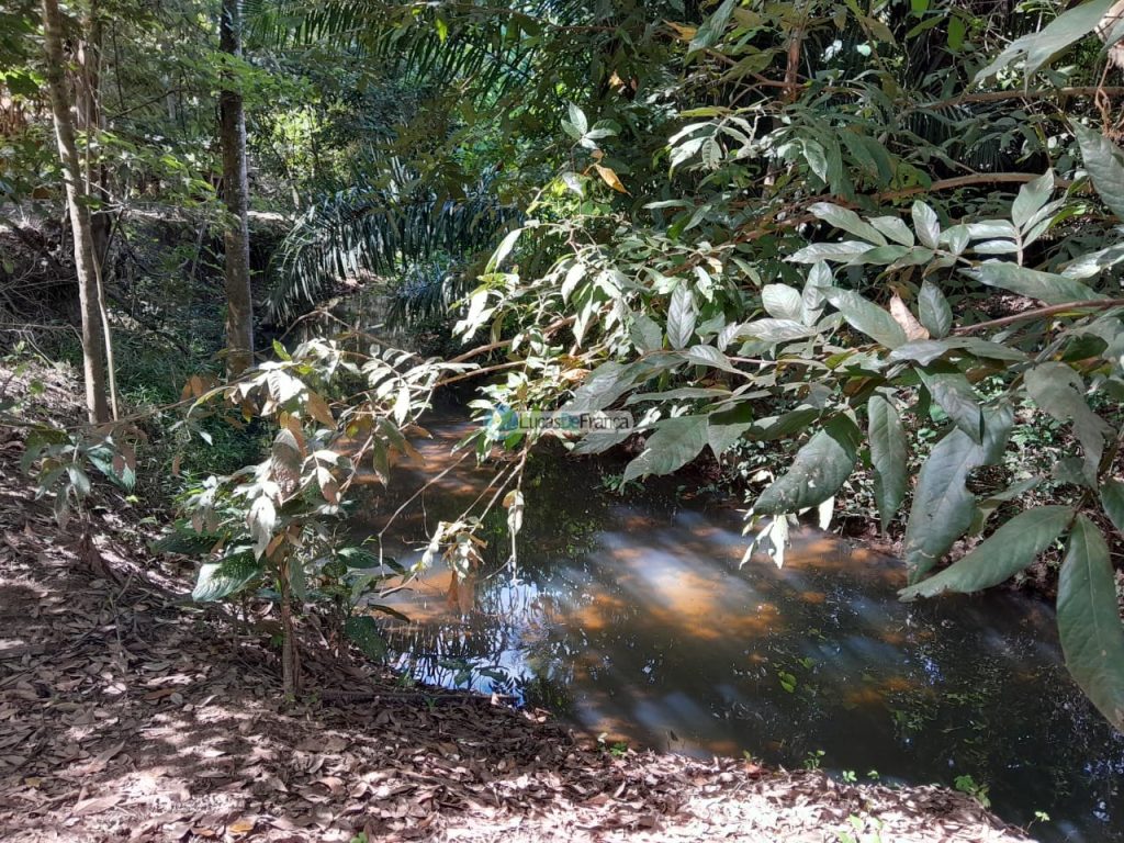 Chácara no distrito de Santa Rosa (16)