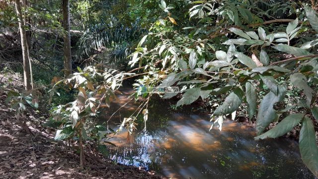 Chácara no distrito de Santa Rosa – 02 hectares