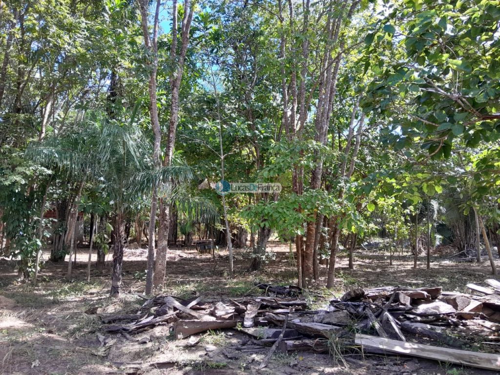 Chácara no distrito de Santa Rosa (17)