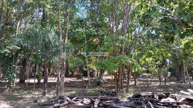 Chácara no distrito de Santa Rosa – 02 hectares