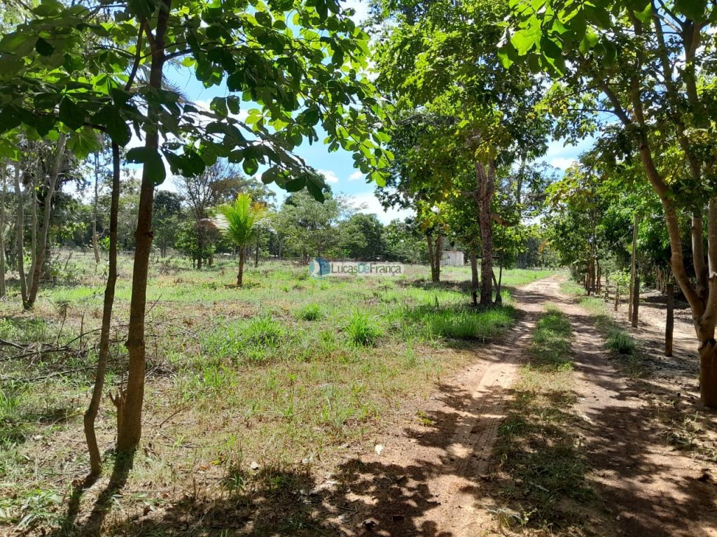 Chácara no distrito de Santa Rosa (18)