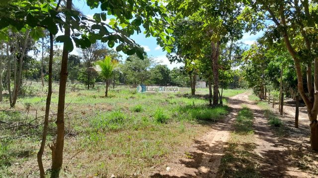 Chácara no distrito de Santa Rosa – 02 hectares