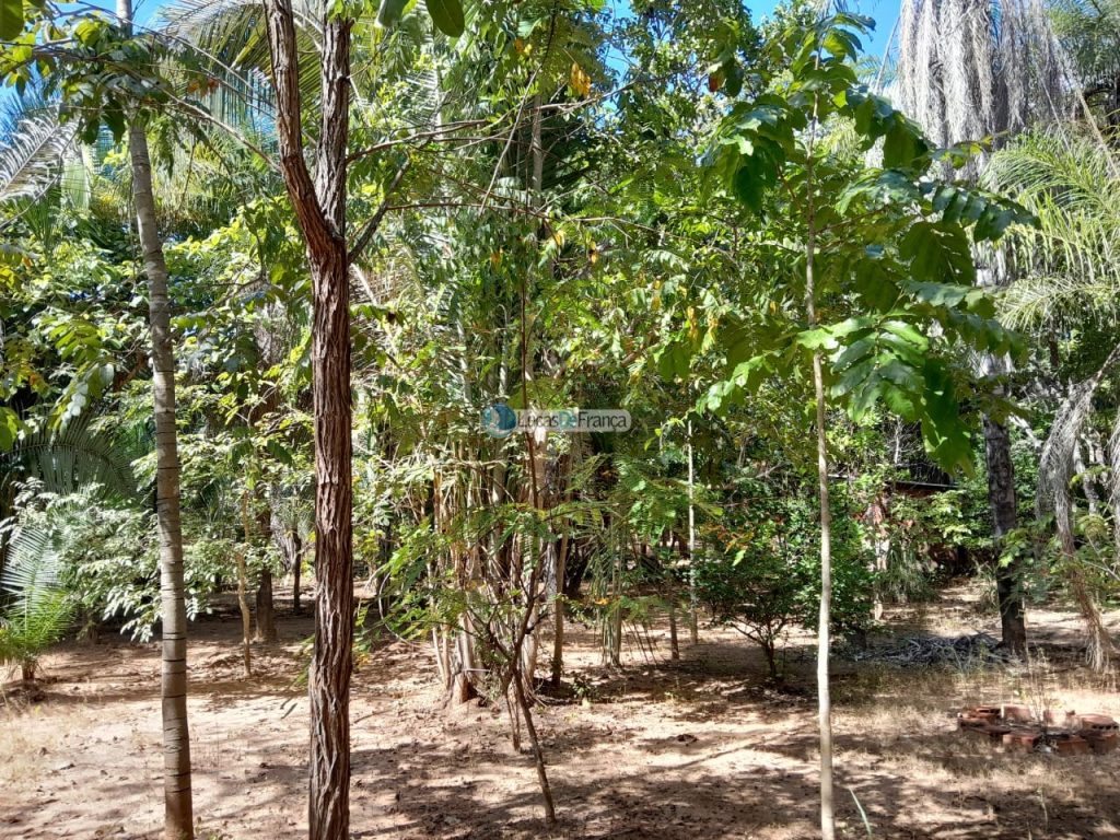 Chácara no distrito de Santa Rosa (19)