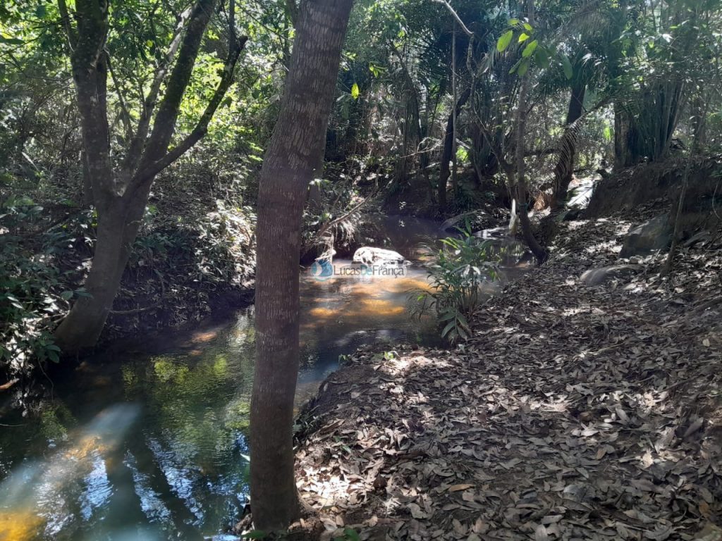 Chácara no distrito de Santa Rosa (21)