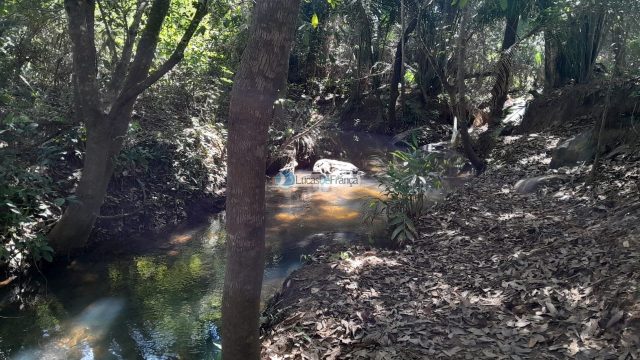 Chácara no distrito de Santa Rosa – 02 hectares