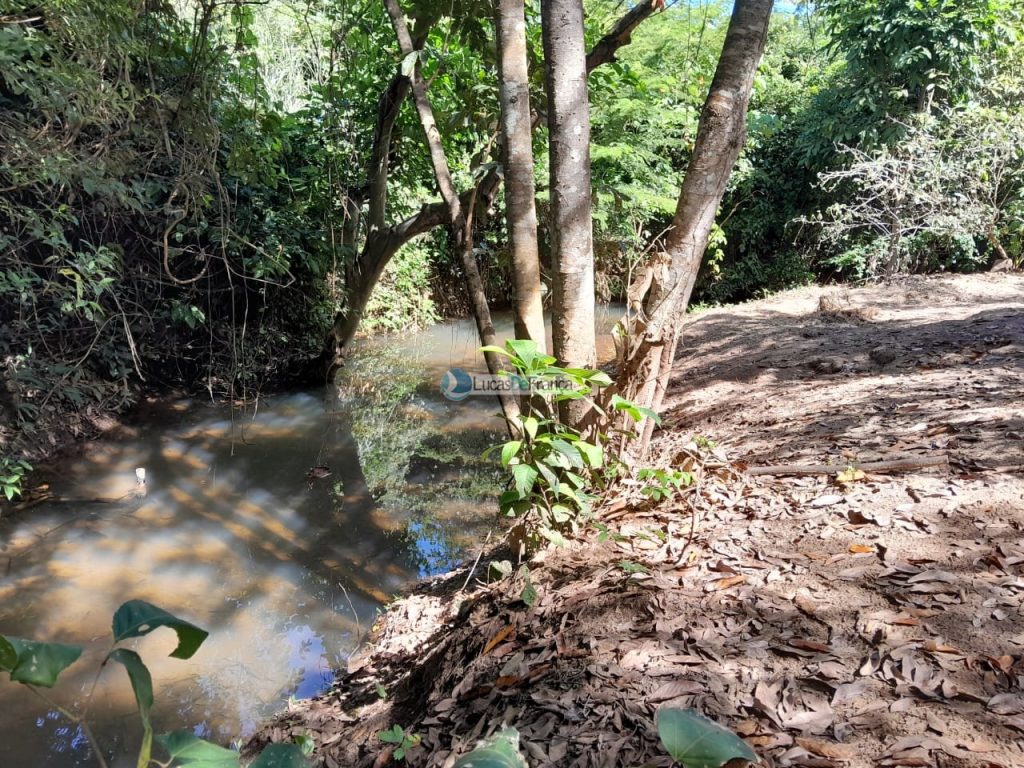 Chácara no distrito de Santa Rosa (22)