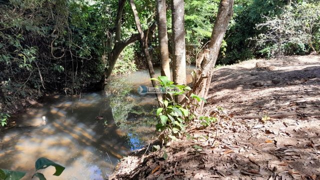 Chácara no distrito de Santa Rosa – 02 hectares