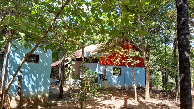 Chácara no distrito de Santa Rosa – 02 hectares