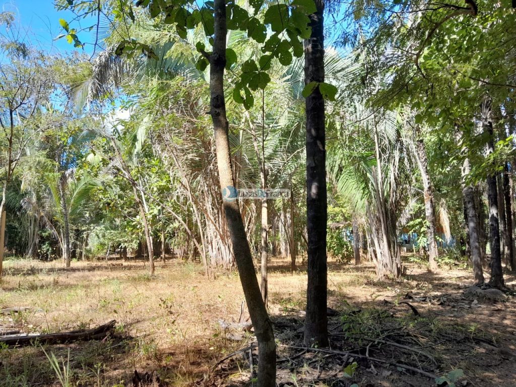 Chácara no distrito de Santa Rosa (25)