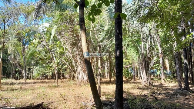 Chácara no distrito de Santa Rosa – 02 hectares