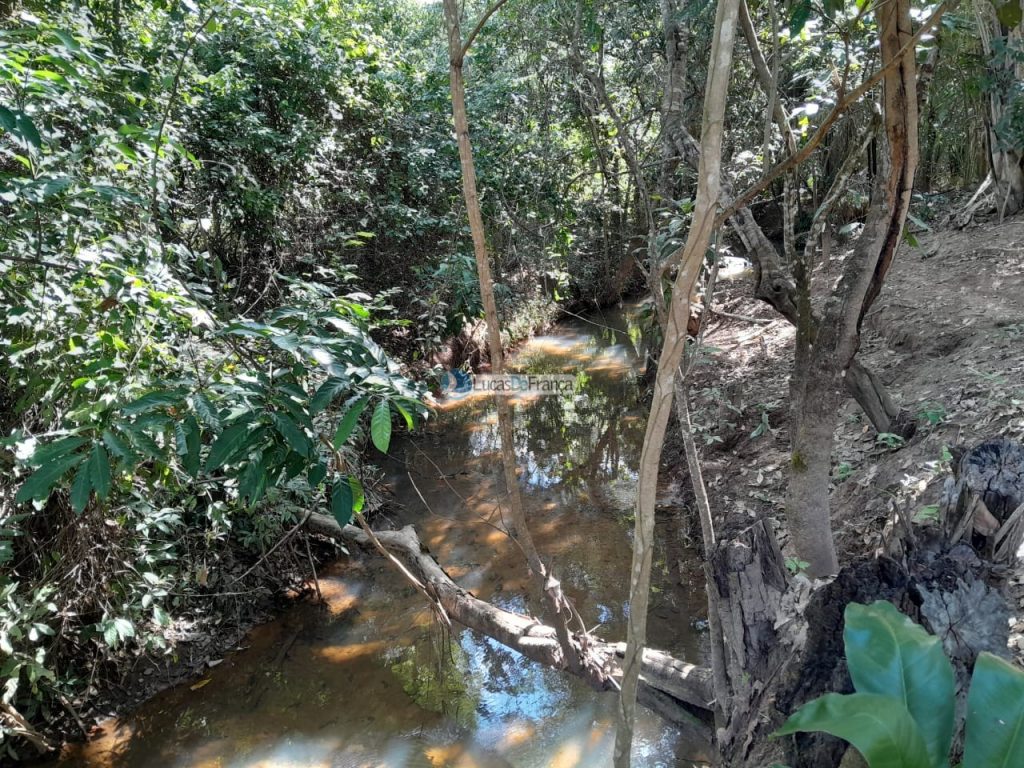 Chácara no distrito de Santa Rosa (3)