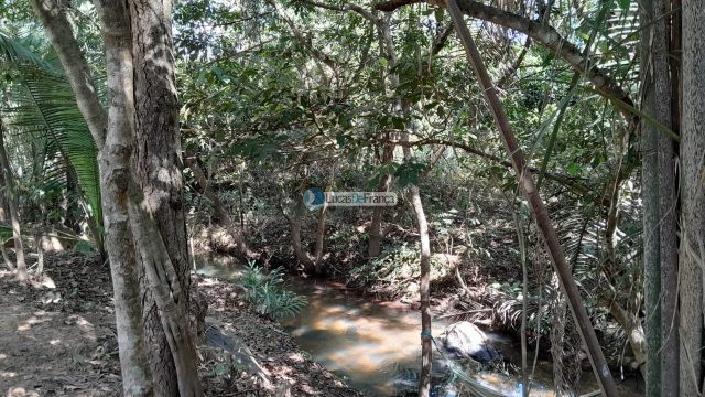 Chácara no distrito de Santa Rosa – 02 hectares