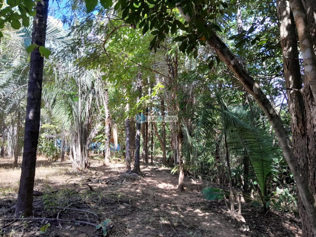 Chácara no distrito de Santa Rosa (31)