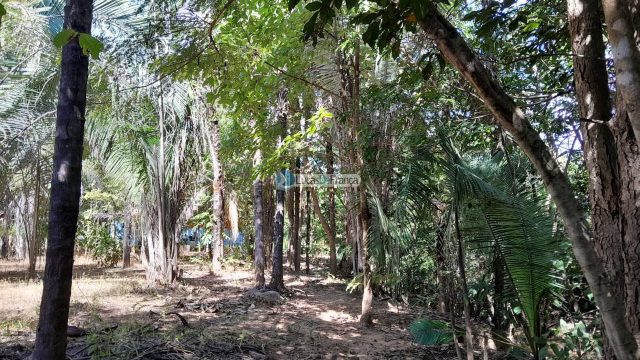 Chácara no distrito de Santa Rosa – 02 hectares