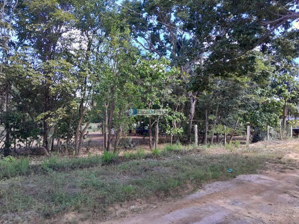 Chácara no distrito de Santa Rosa (34)