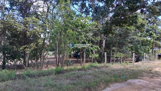 Chácara no distrito de Santa Rosa – 02 hectares