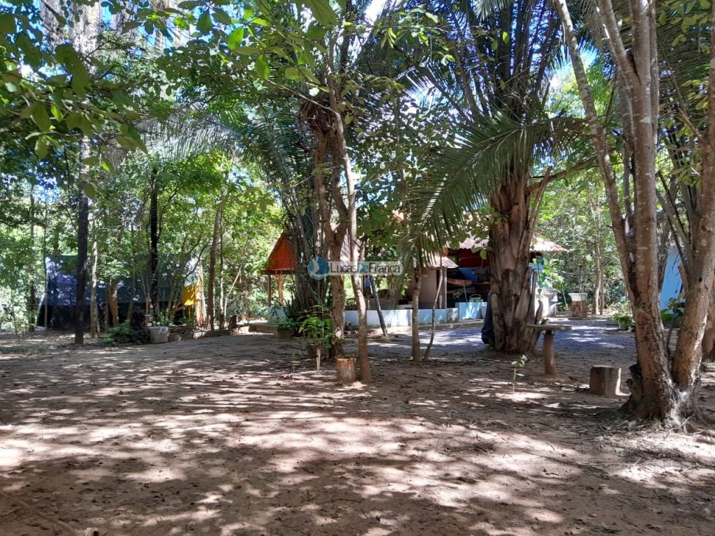 Chácara no distrito de Santa Rosa (35)