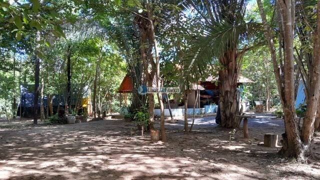 Chácara no distrito de Santa Rosa – 02 hectares