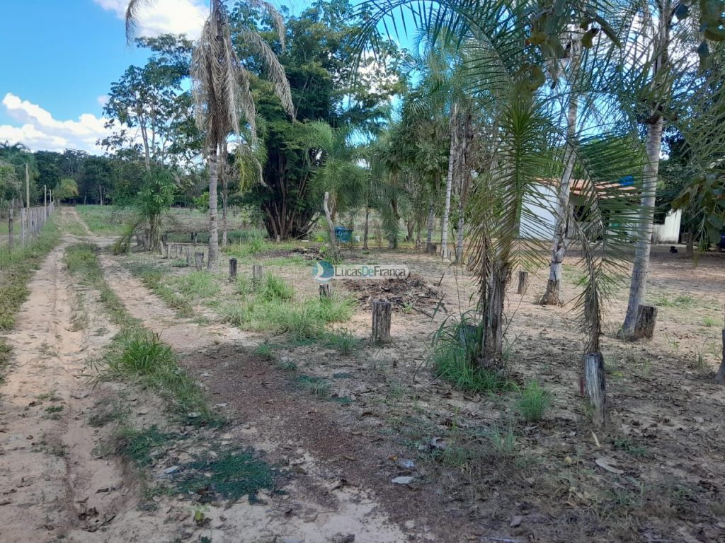 Chácara no distrito de Santa Rosa (36)