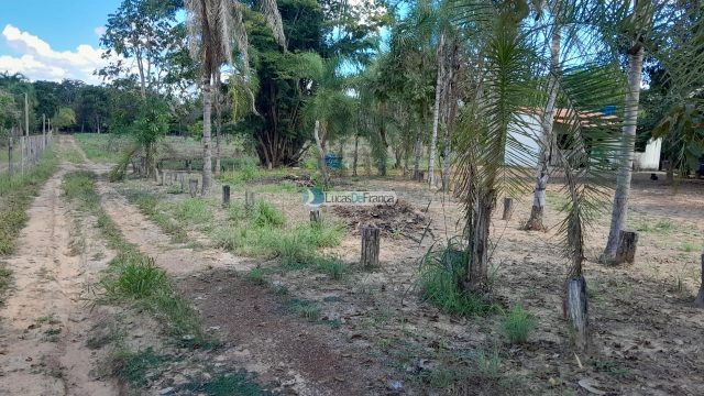 Chácara no distrito de Santa Rosa – 02 hectares