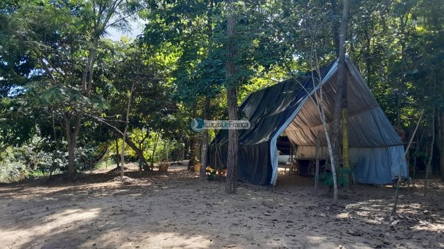 Chácara no distrito de Santa Rosa – 02 hectares