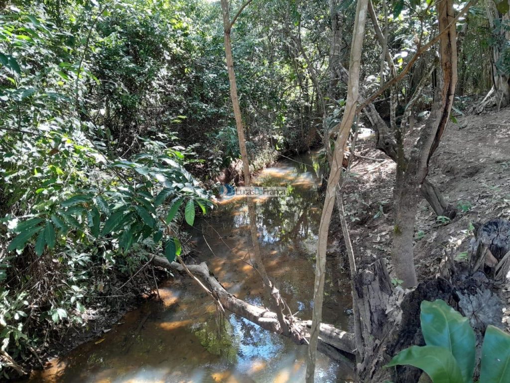 Chácara no distrito de Santa Rosa (7)