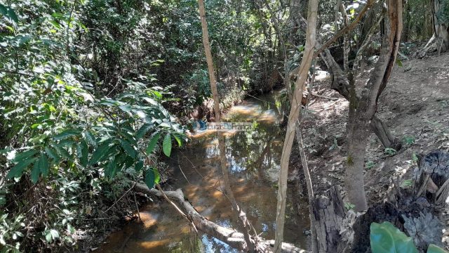 Chácara no distrito de Santa Rosa – 02 hectares
