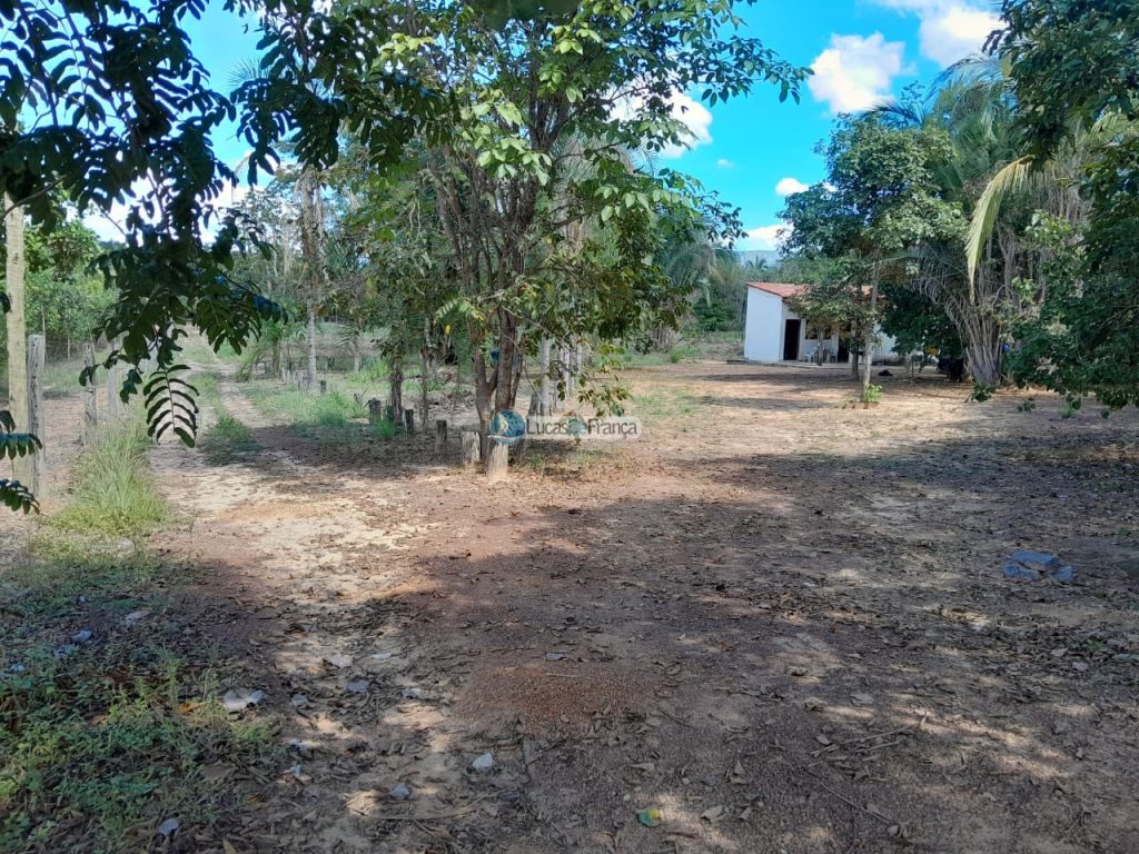 Chácara no distrito de Santa Rosa (8)